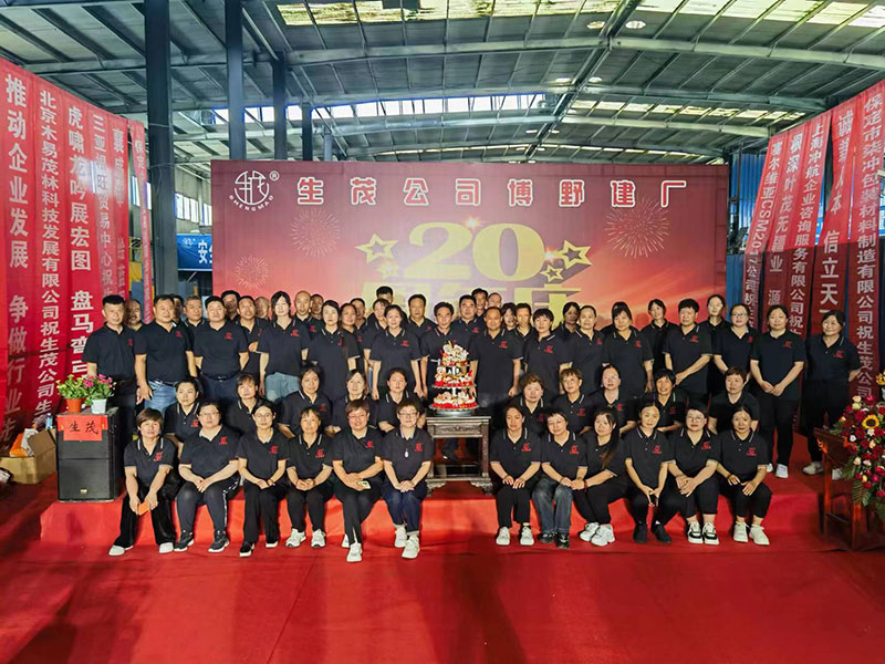 ��ï��˾��Ұ���S20����